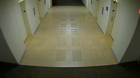 8404OHOB03O3A2MainElevatorLobby_2021-01-06_19h00min01s657ms.mp4