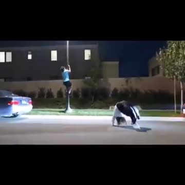 Watch out... Cowards are prohibited from watching