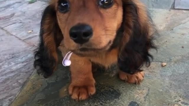 Just a baby