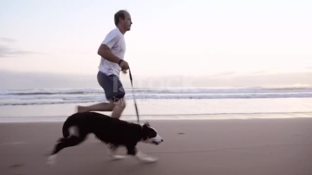 footage of a man going for a run with his dog on the beach at sunset stock video...