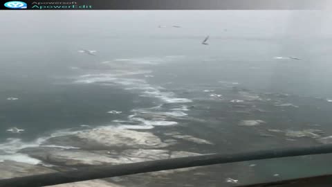 a great view of the sea lighthouse with flying gulls