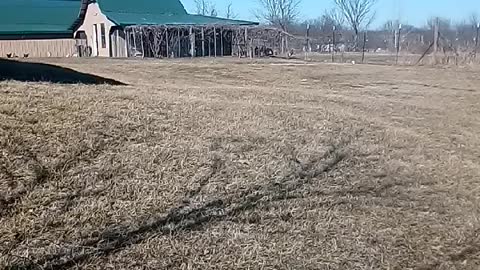 Farm at a glance