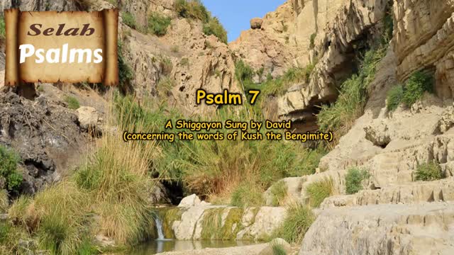 The Selah Psalms Project