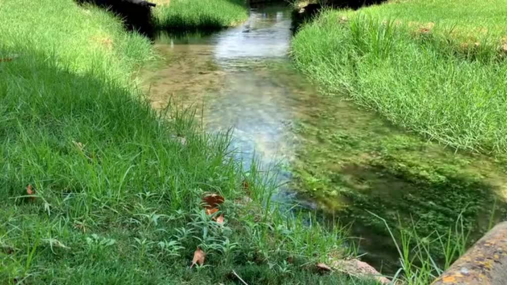 Meditación transcendental ZEN con Cuencos Tibetanos #ARROYO #AGUA #Sanación #Meditación #DormirBien