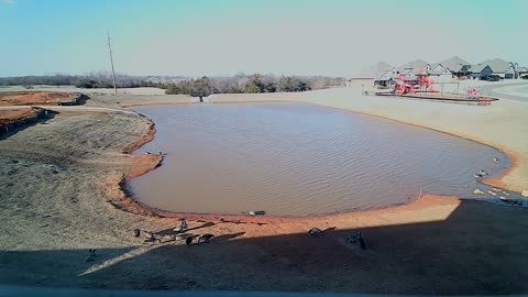 The Pond