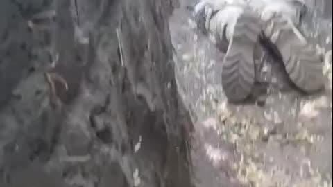 Russian Artillery Scores A Direct Hit On A Ukrainian Trench Filled With Militants💥💥