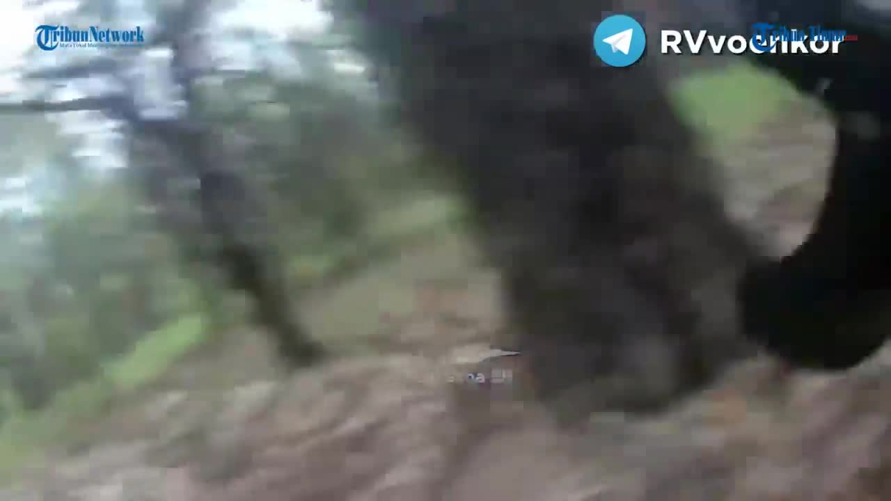 Tense, Russian vs Ukrainian troops shootout in the middle of the Donbass Hutan Forest