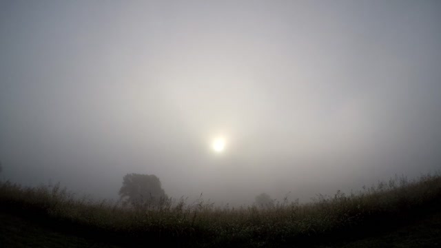 Sun Rise Fog 9 6 22 65f/18c