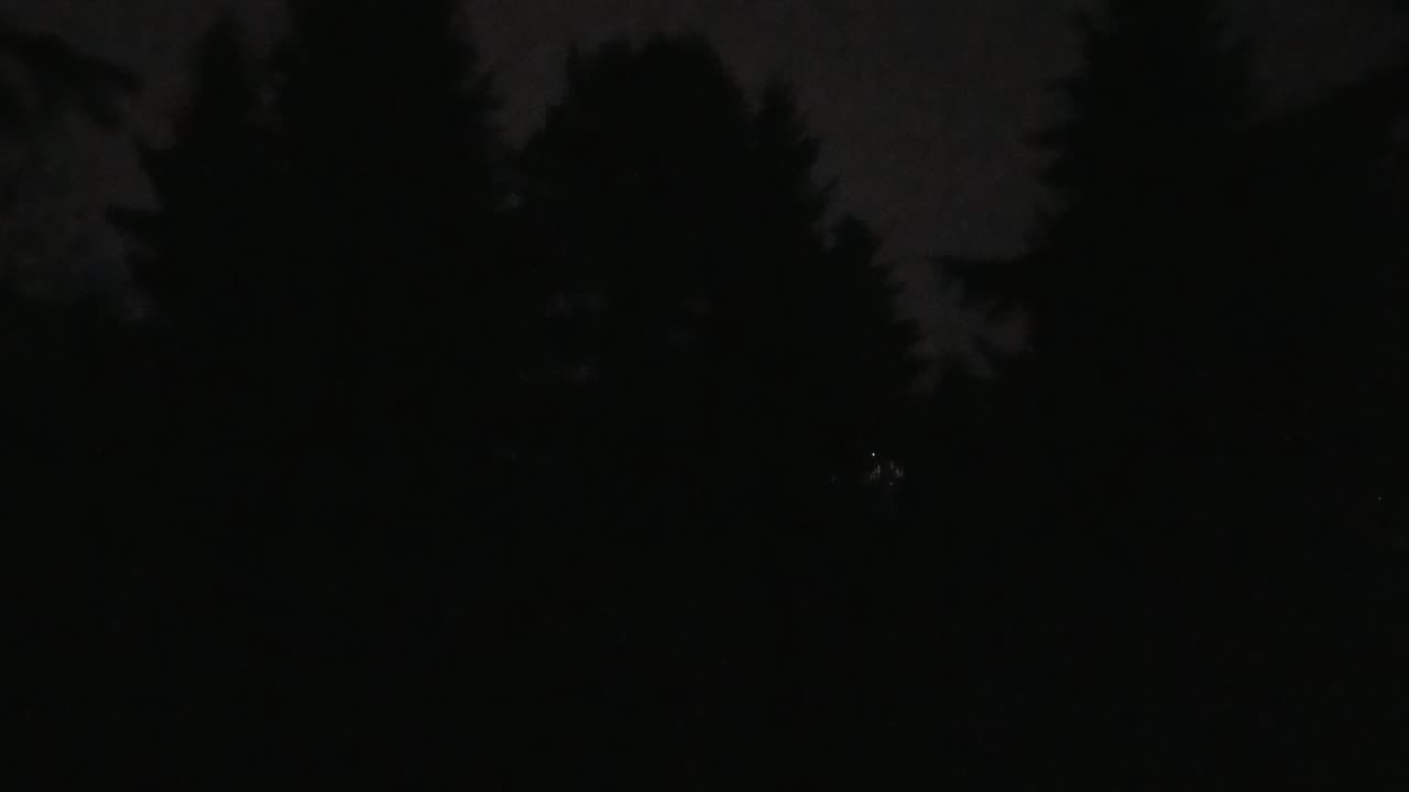 Roll Call From the Puppy Mill 😂🤣😨