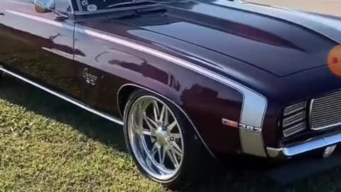 Amazing Videos Episode 3