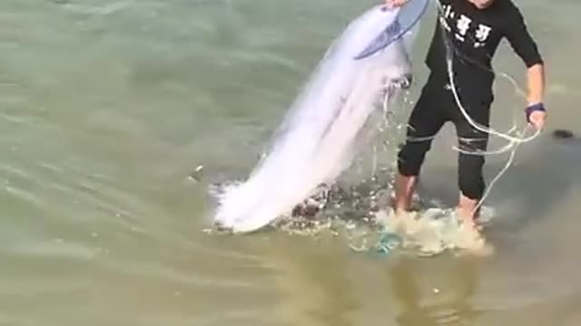 Amazing Asian Cast Net Fishing