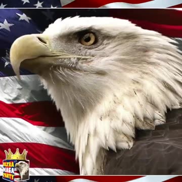 See how it works, Patriots? Obama, Di Niro, Biden, Dunn, Fanone…