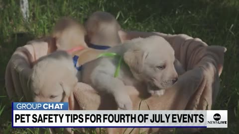 Prep for a sparkling 4th of July ABC News