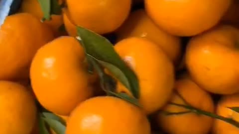 fruit in my garden ..