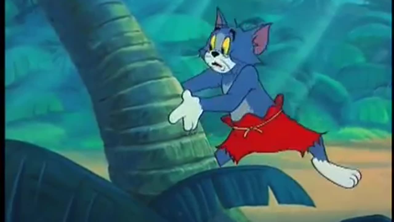 Tom E Jerry