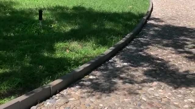 A path paved with stones