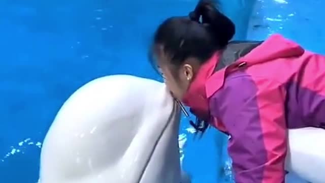 Dolphin kissing a girl #shorts