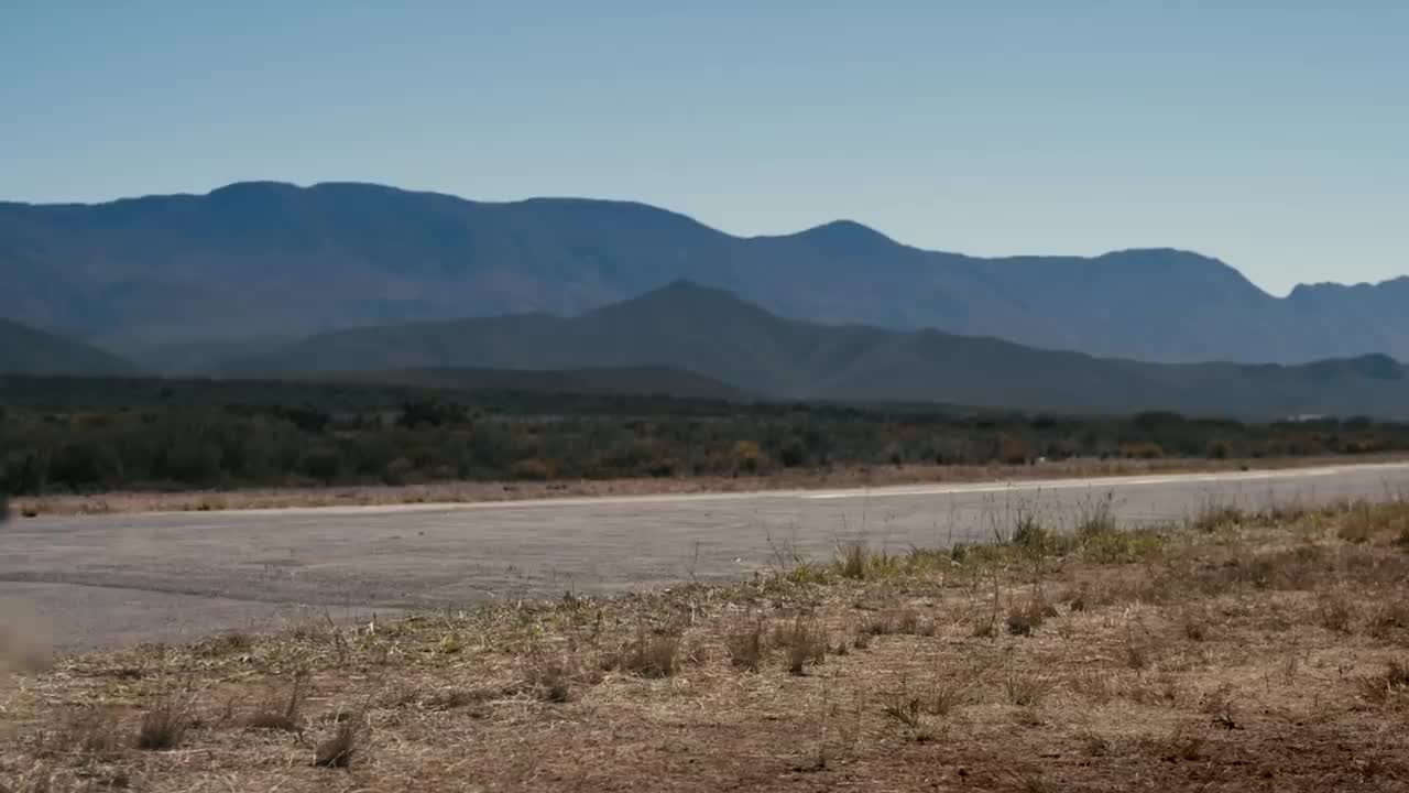 Drag Race- Formula E Car vs Cheetah