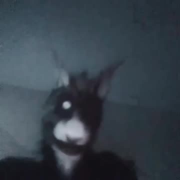 I’m Back Here After Almost 2 Months