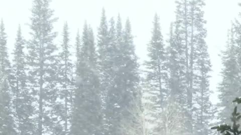 Sleep Sounds - Winter Storm