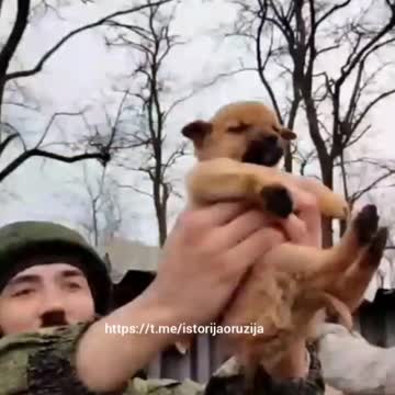 06.03.2022. Demilitarization and denazification of Ukraine!!!