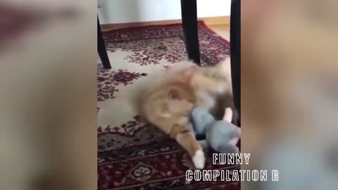 Funny Animals! Funny Cats! Funny Videos! # Short