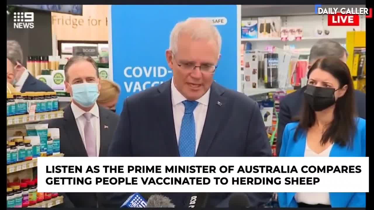 Australian PM says the quiet bit out loud. Sheep.