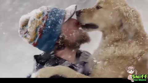 Loyal Dogs Saved People Life Compilation🐕️