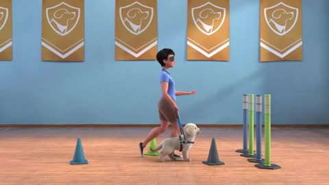 Cute dogs in school pet video