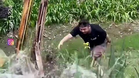 Nonstop Laughter: Best Moments of Funny and Embarrassing Situations