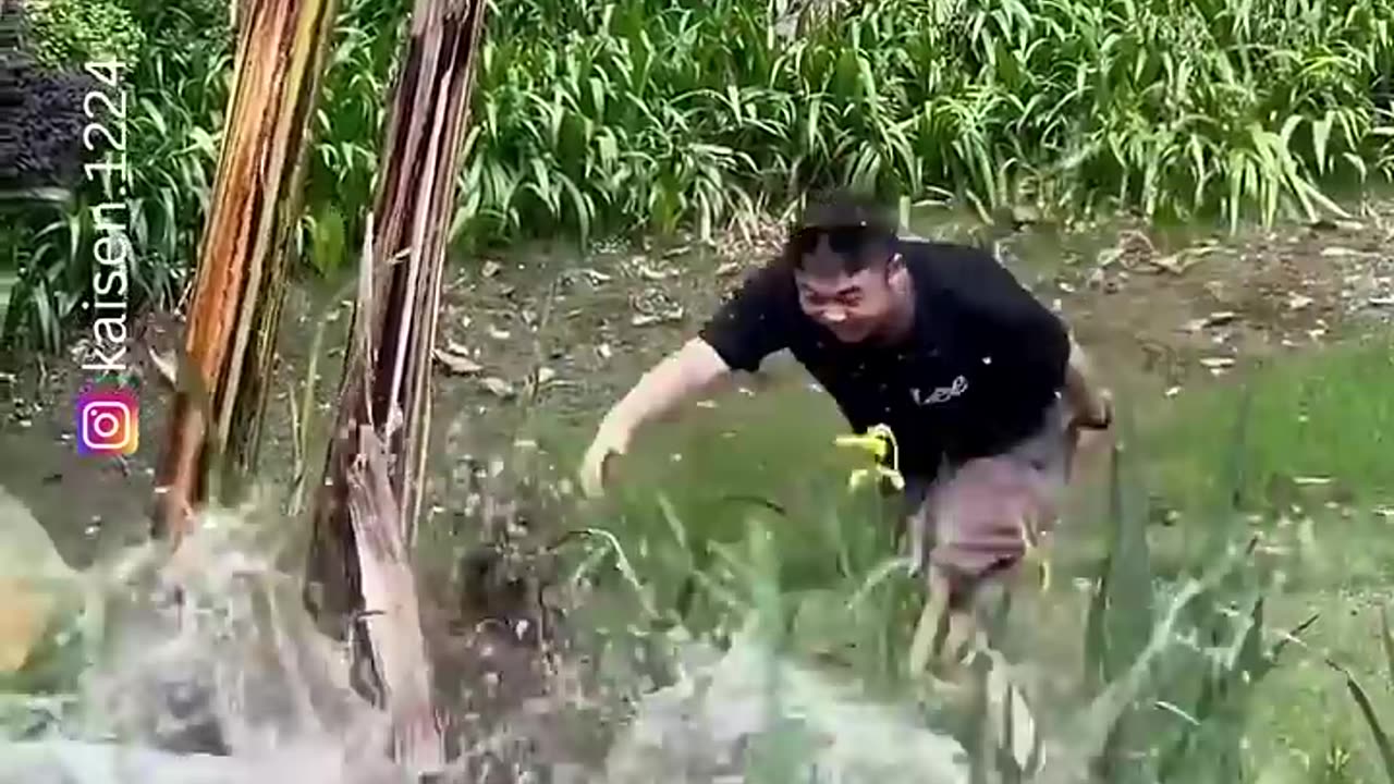 Nonstop Laughter: Best Moments of Funny and Embarrassing Situations