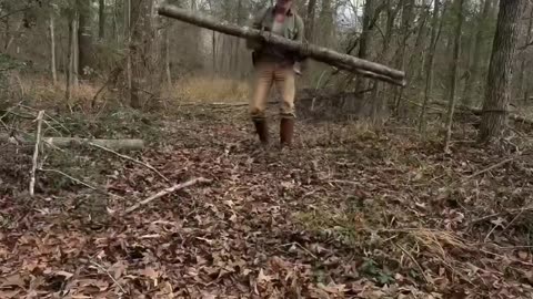 Building a Log Cabin by Hand Part 3 #cabin #logcabin #bushcraft #bushcraftlogcabin #outdoors #axe