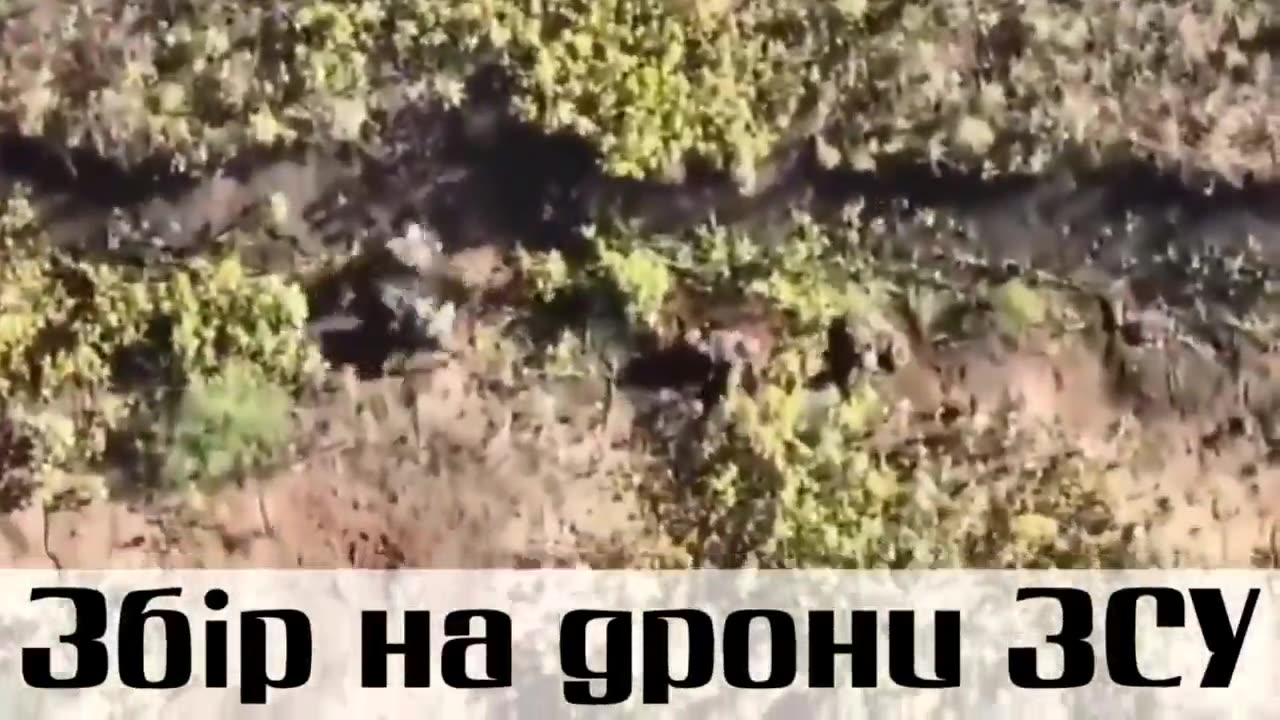 🚁 Southern Front Strike | Ukrainian Drone Targets Russian Soldiers | Ukraine Russia War | RCF