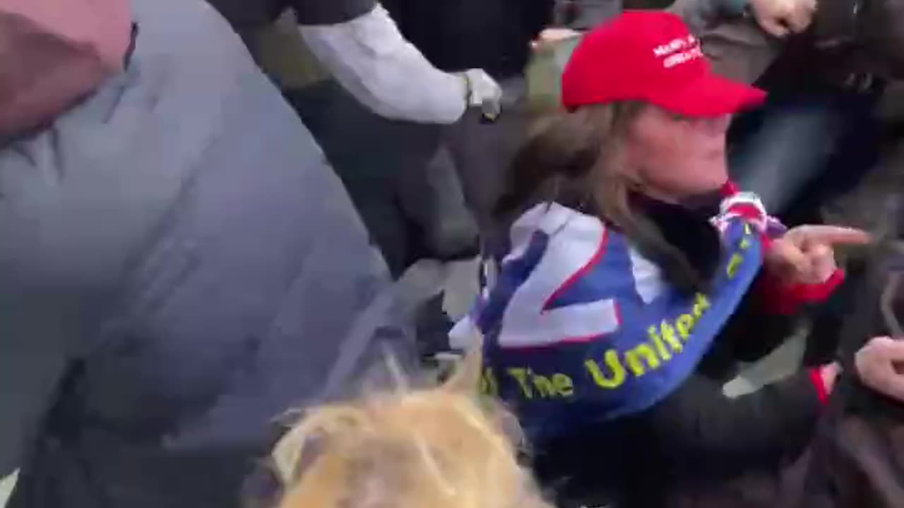 FLASHBACK: ⚠️ TRUMP SUPPORTERS attempting to stop people from breaking