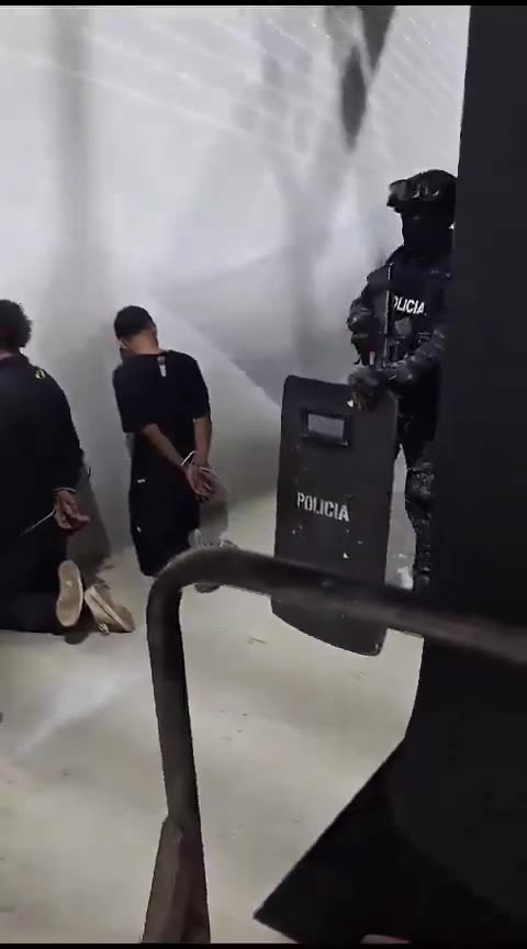 law enforcement having arrested the cartel members who stormed an Ecuadorian television studio.