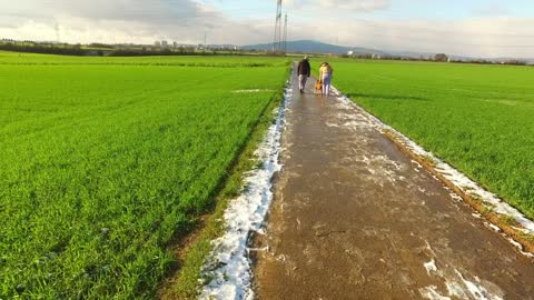 Couple and their dog walking through green agricultural fields