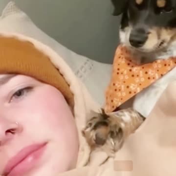 Try not to laugh pranks😂😅🤣