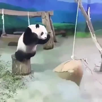 Timing is everything 😂😂