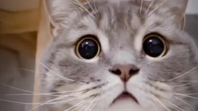 Something Must Be Happening