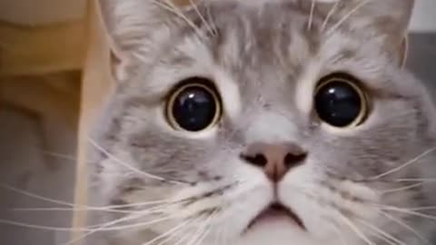 Something Must Be Happening