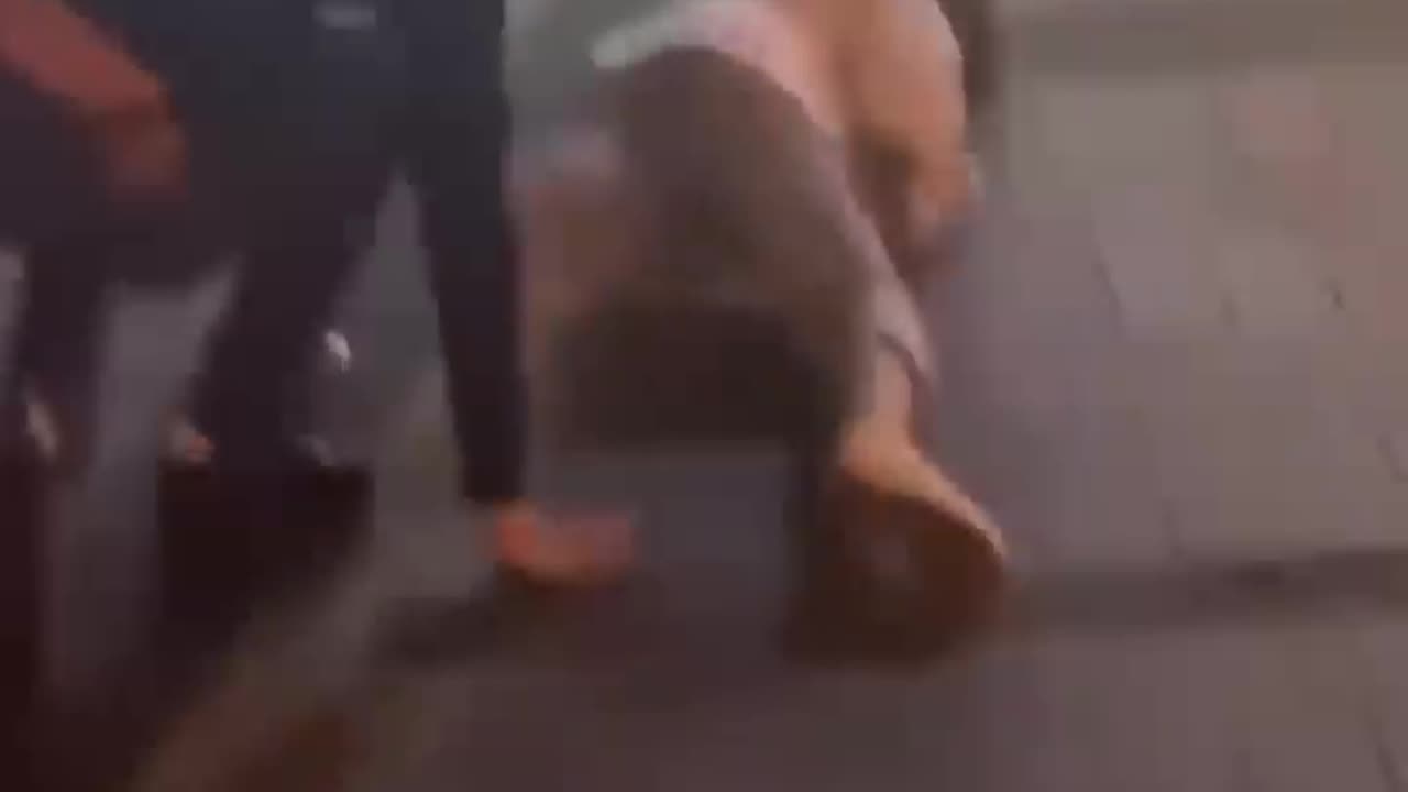 AWW NEW FUNNY | Funny & Hilarious Video People's Life ?? Funny Videos #564