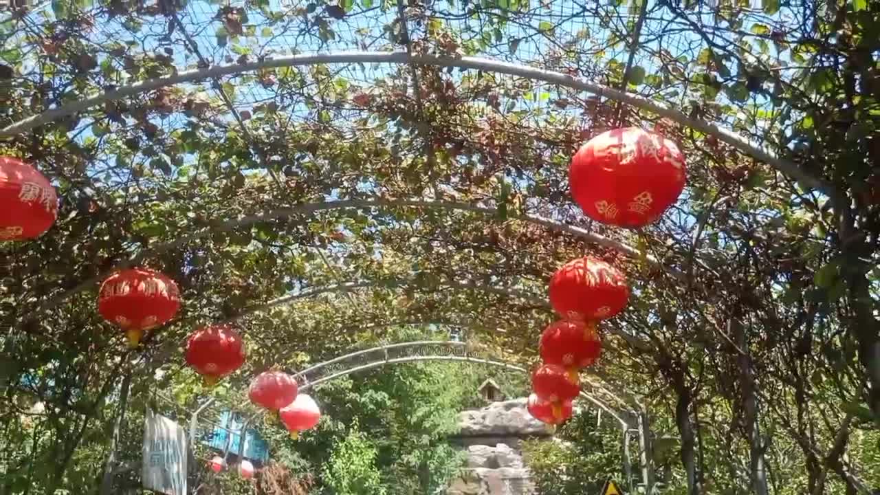 Red lanterns, beautiful