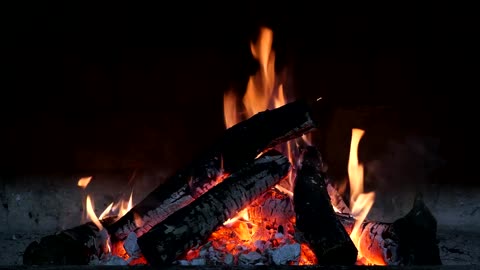 Fireplace Fire Burning 4K Relaxing