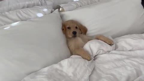 Monday Afternoon May be like