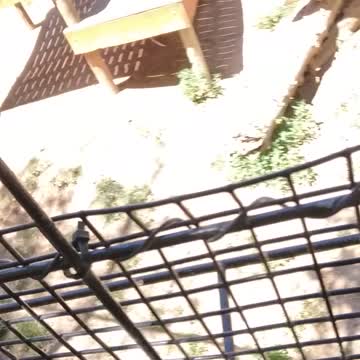 #Zoo #IDaho #Falls #2022