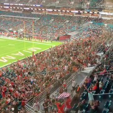 Cat getting saved by American flag during Miami game