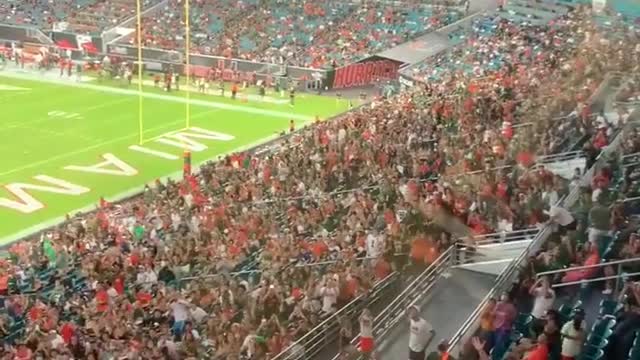 Cat getting saved by American flag during Miami game