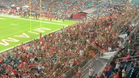 Cat getting saved by American flag during Miami game