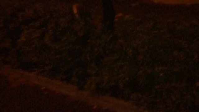 Guy runs and spins into bushes at night