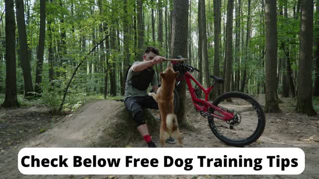 A Man Training His Dog